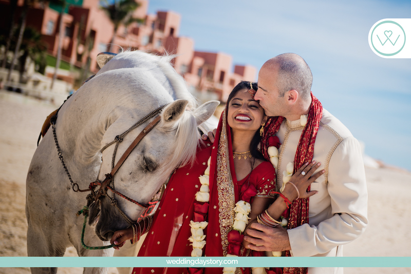 Amazing Indian couple on Mexico beach with horse that Liz Moore Weddings Loves