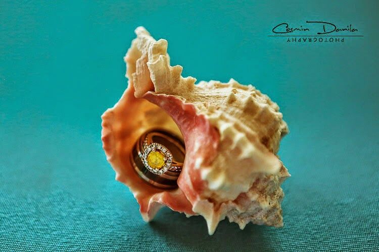 11 photographer takes picture of ring in shell