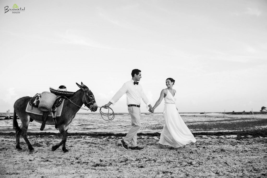 bride and groom with Burrow on the beach 