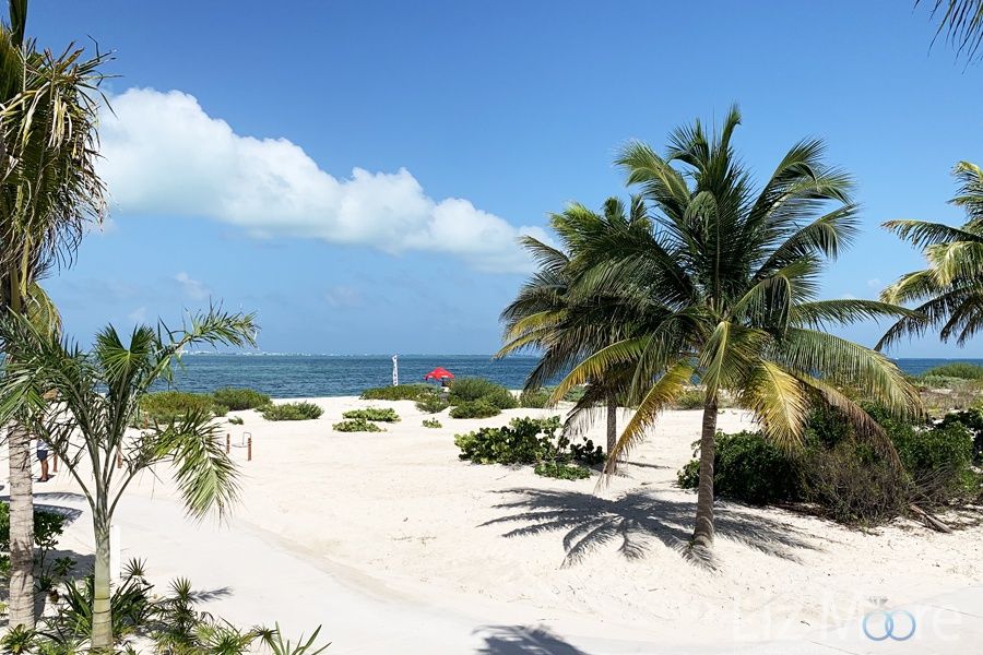 Main beach area with widespread white sand beach and beautiful green lush palm trees and ocean
