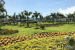 Riu-Costa-Mujeres-Palace-Garden-and-grounds