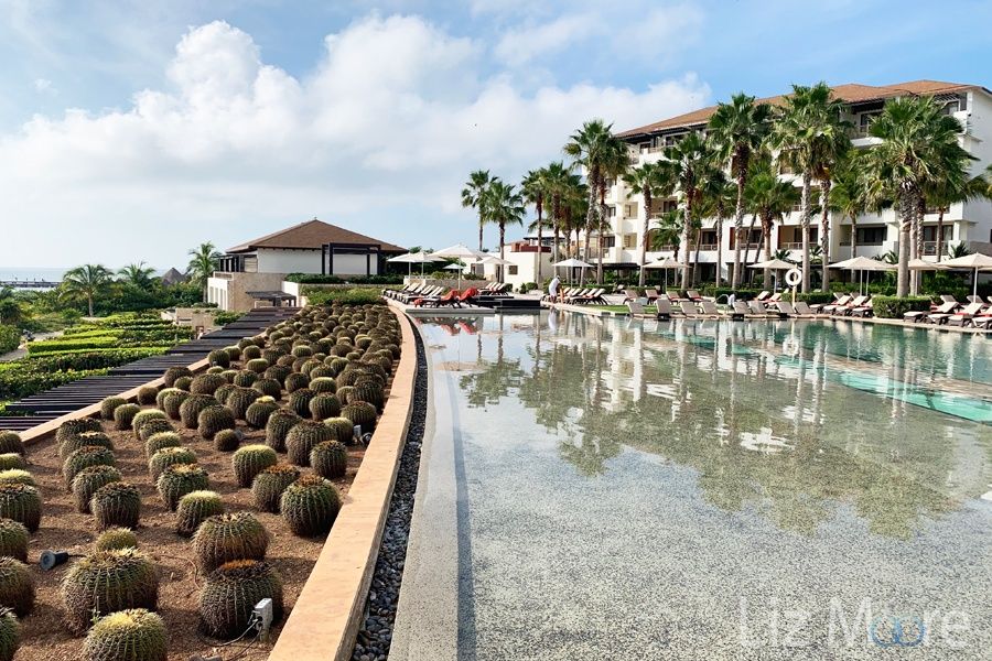 Main infinity pool area overlooking the ocean and surrounded by cacti and palm trees
