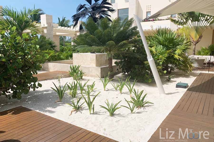 Walkway is made with wooden planks and small palm trees shooting from sand And surrounding Flowers