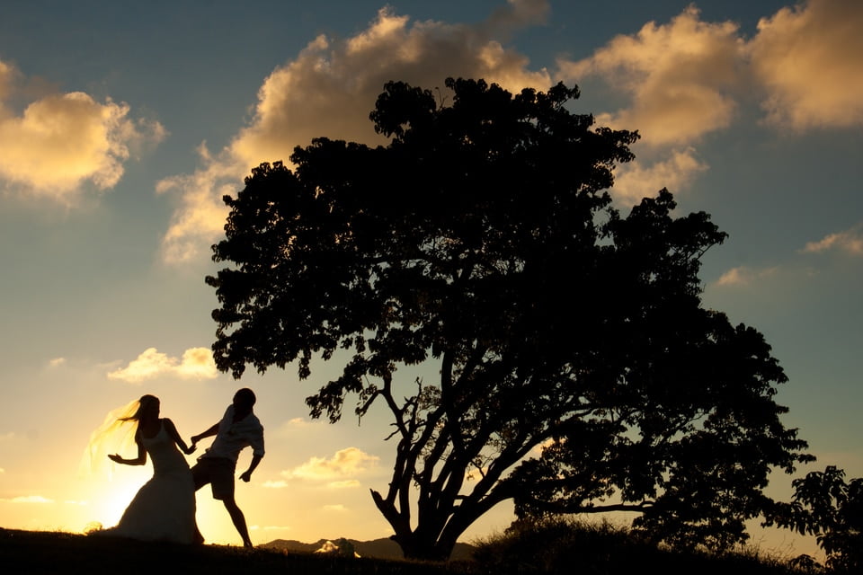 Image of the bride and groom at sunset standing by a tree holding hands