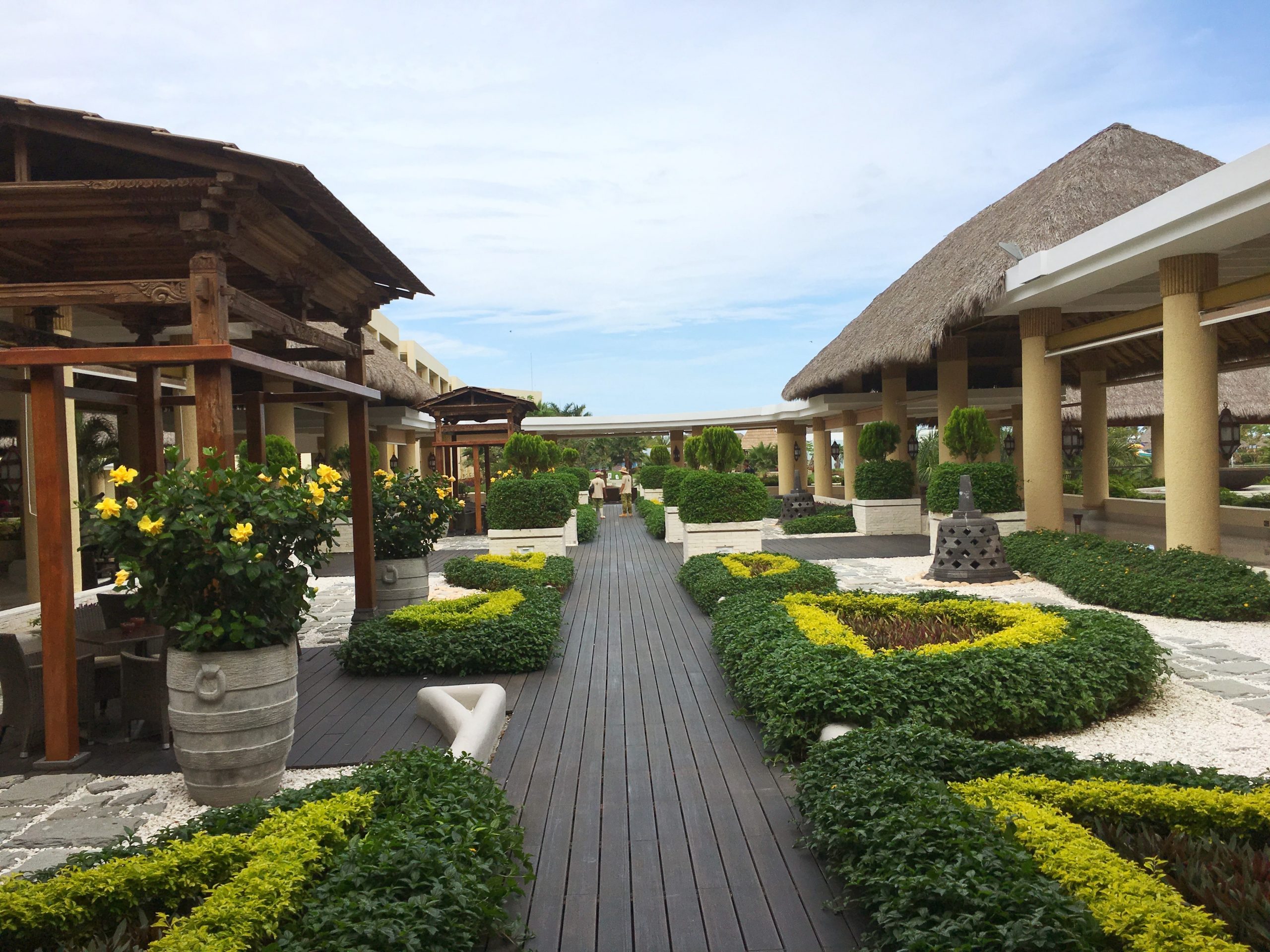main walkway from the lobby with beautiful shrubs of green and yellow with flowers and wouldn't walk away