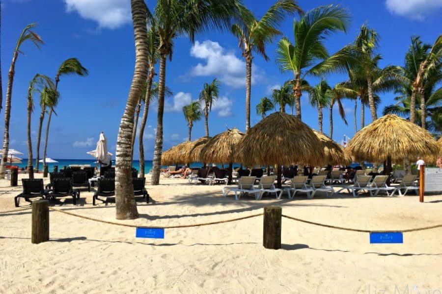Dreams-Dominicus-27-qbpgwdvg0as7wxrjwqk5xjte7liv9ppqo8lebucl80