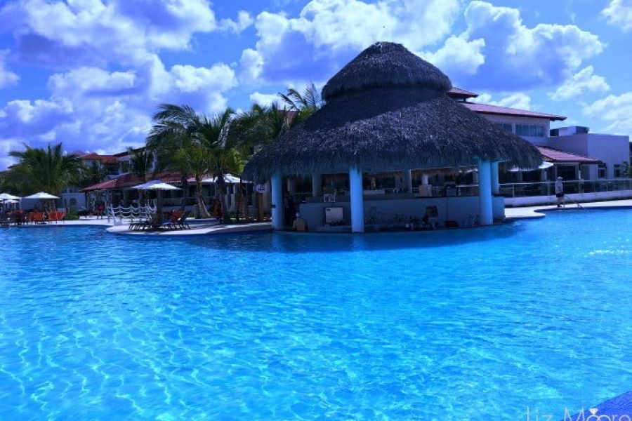 Dreams-Dominicus-28-qbpgwn9twn5351dwdumfmhg05g8jeor21j494lynhs