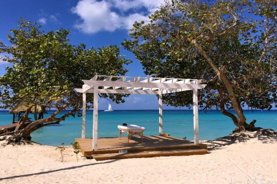 Dreams-Dominicus-30-qbpgw1njjgbhq09aw3a0j4wehl73hnd8ak4338upgw