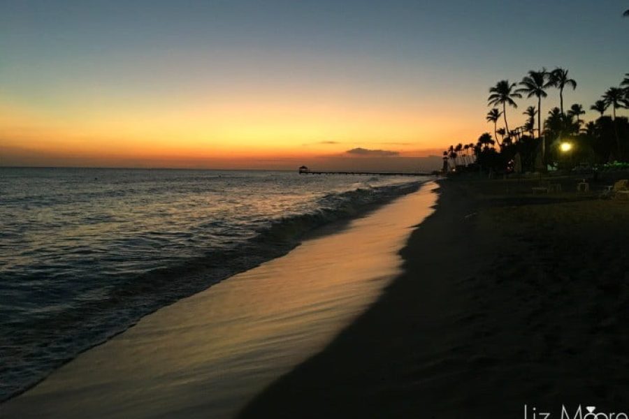Dreams-Dominicus-37-qbpgw2ldqacs1m7xqlon3mnv2z2gpcgymorkkitbao