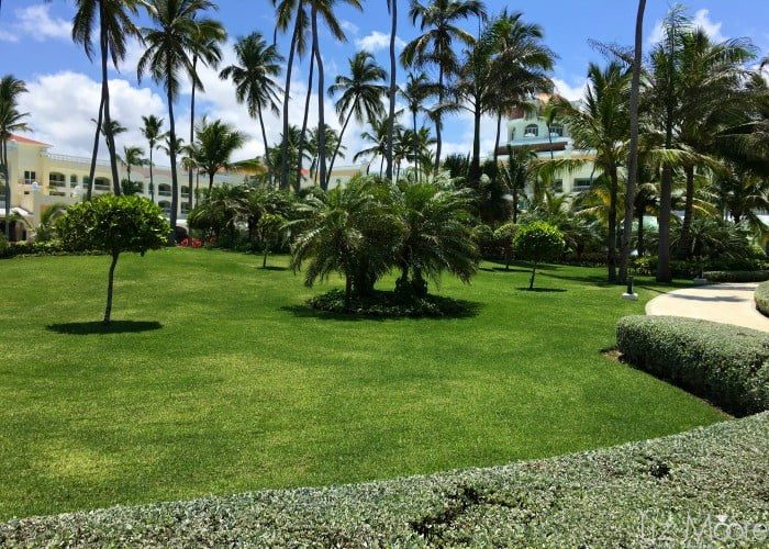 Iberostar-PC-66