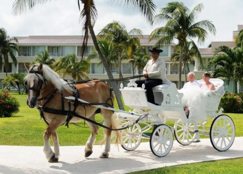 Nizuc1-700x500_c-qby61kqgtryrvvgqol8kajpnr7jlqbd80kva11wt1c