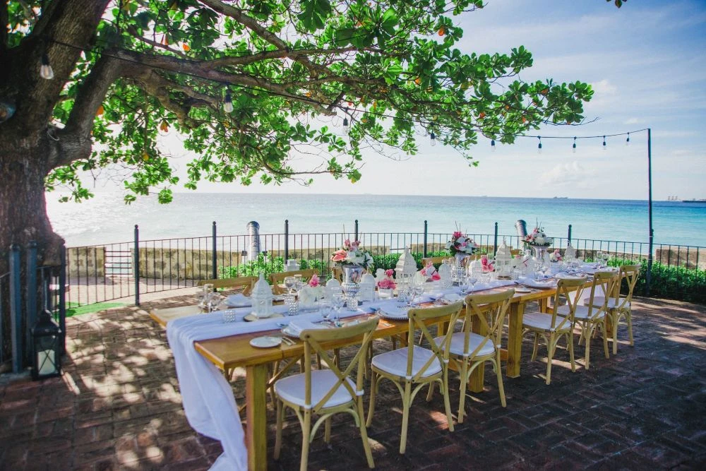 Ocean-view terraces