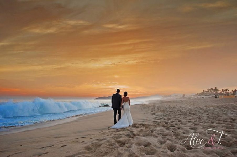 Qddachajg0PCQKXKD5ccEw9N7dEKoXaR2psUbAB5Kbk-qc1na3m1o7sniyky2fa0xu4yexlnxzw9vpbnqd2s5c