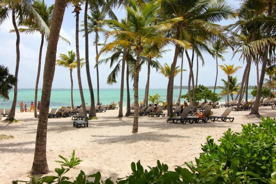 WEBIMG123223_PalmBeach_121123180659-qbsidbve25n10lbnk8djz2enpd3zkyzoi3ots72lio