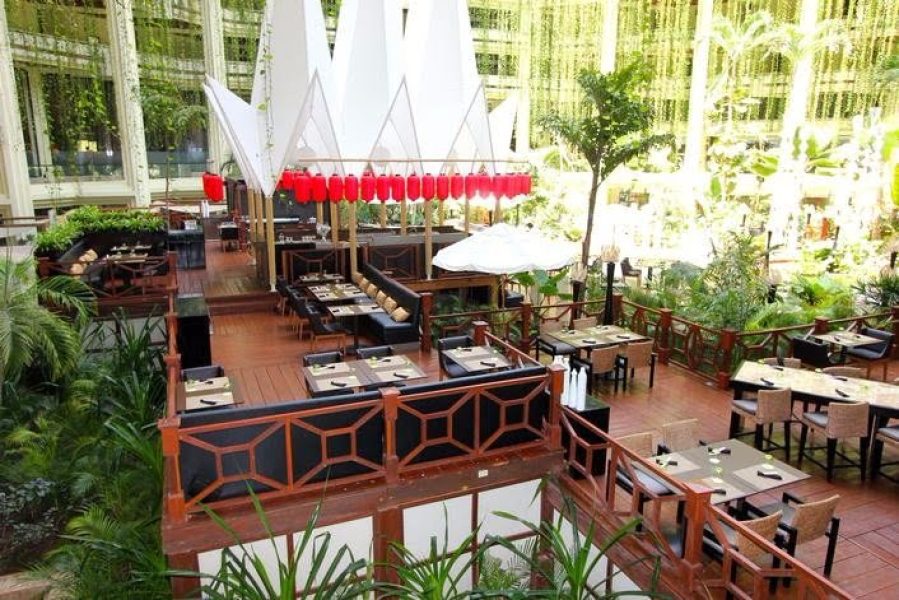 WEBIMG134010_PanAsianRestaurant_130928120847-qbwhdu4r62lb53gu6nn5jlu0x2wz4y2p42pkerrgn4