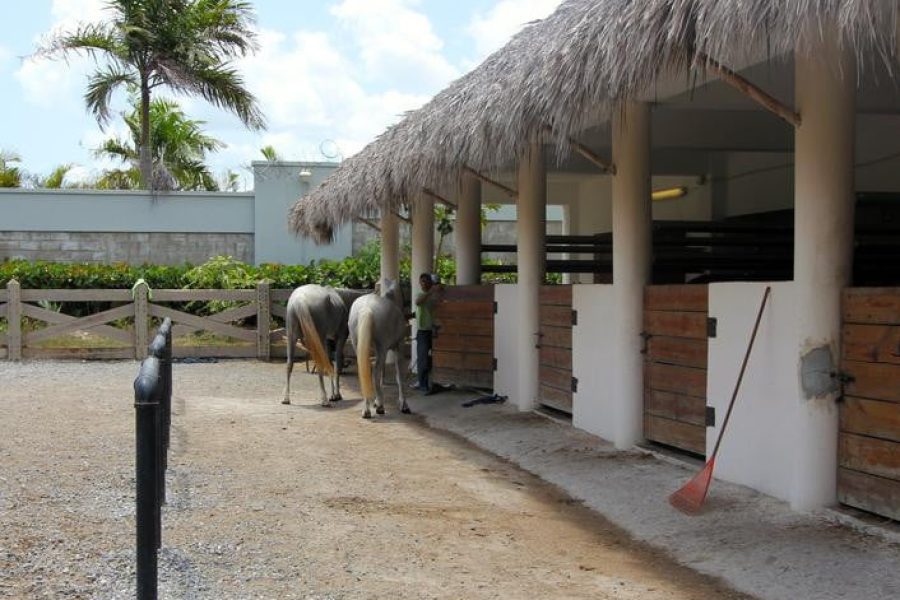 WEBIMG145542_HorseridingStable_140805180010-qbsiei64lp8xj1m7p8nrl9qefpbi7cnlnx1odnbvqo