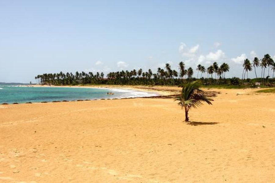WEBIMG145564_Breathlessbeachfront_140805185315-qbsi5vzdydgb3q4s0ikvqg0aejsdn8g6h9rg0c3ss0