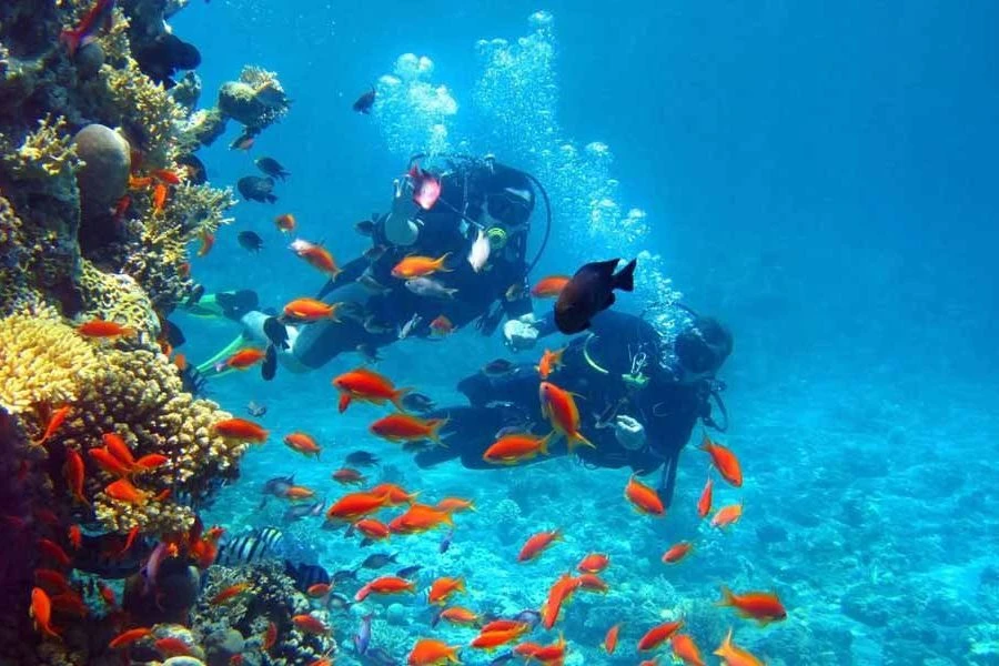 g1_scuba3-qbsoejercwzdwntc7mexnr69hsihb0apd6t5530ho0