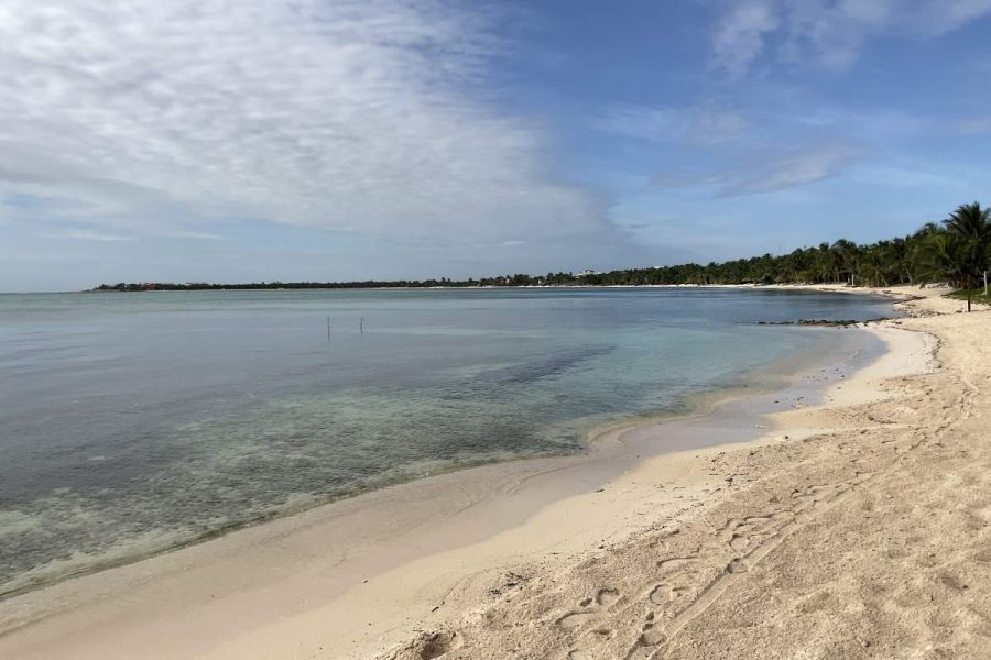 Jashita-Tulum-017-qpwj8l7dd1mh44awlvz721ytpl3w4aa1f3m9ryd05c