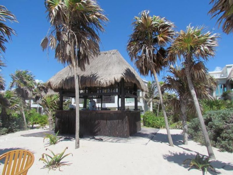 WEBIMG112122_beachbar_111009071123-qbunxcqtigqsq6e2e1y0k98rxppxy3014kffptqrr4