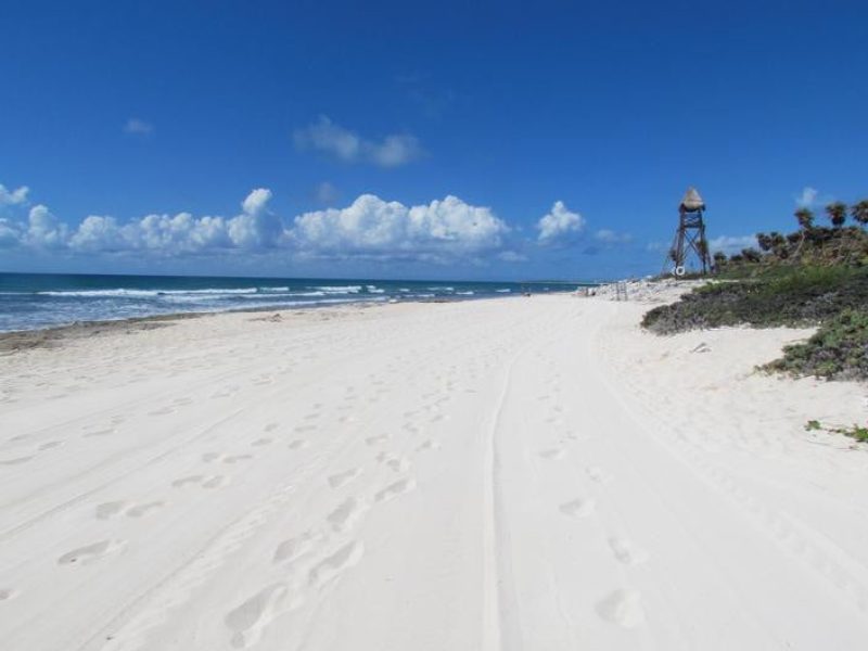 WEBIMG112124_beach_111009071307-qbunx65y6mhsgwnmgh3mkswjs0mdg79wrnv1cw0iyo