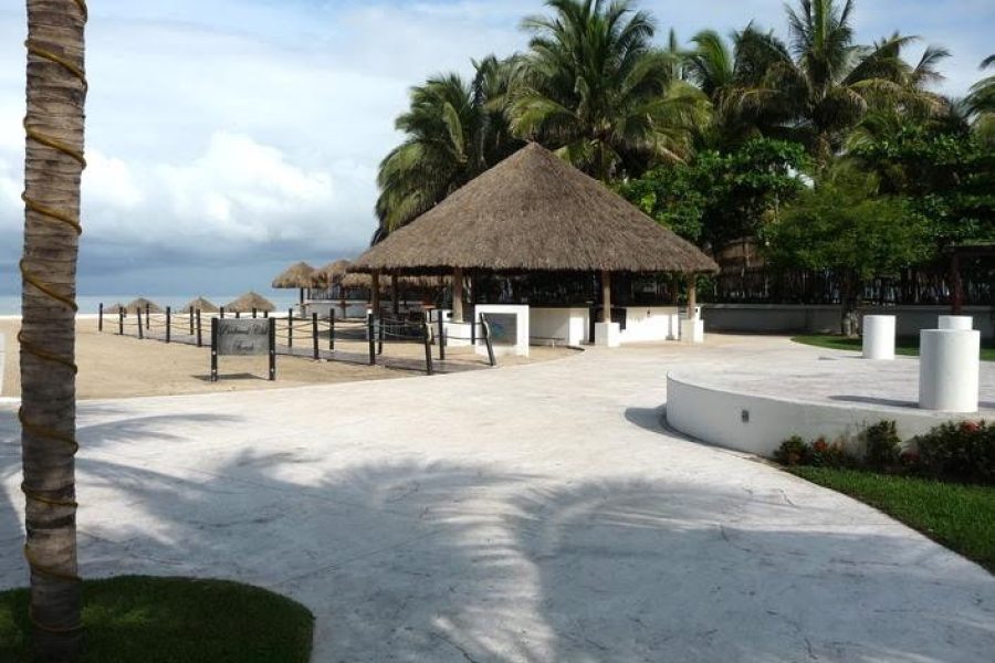 WEBIMG133696_SugarReefBar_130815105219-qbzwkit23qb33n79g4c2ka4xikrv5elnqi2u1jz628