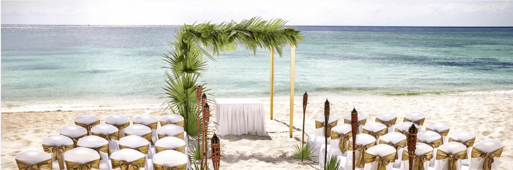 Canopy Beach