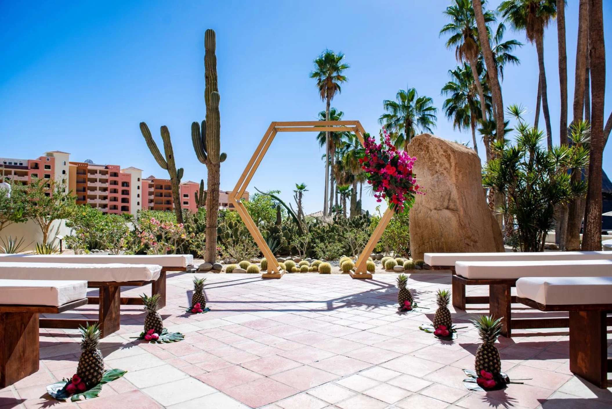 Desert Garden 