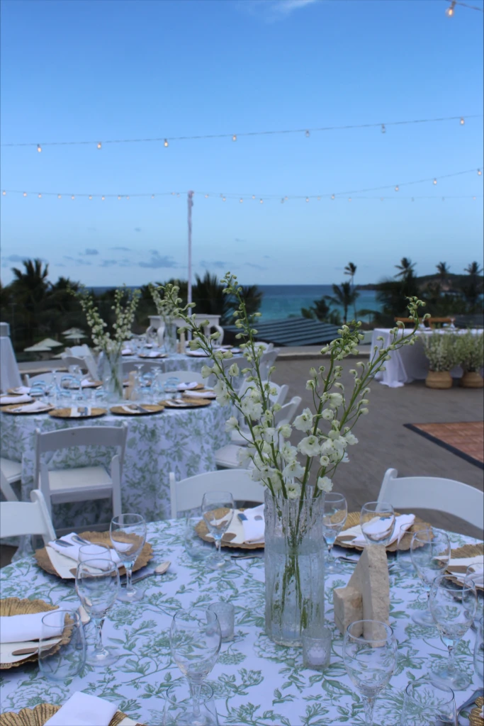 Best All-Inclusive Wedding Packages in the Dominican Republic 