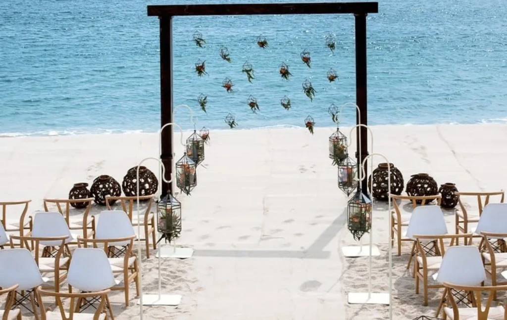 Cabo San Lucas Wedding Planner