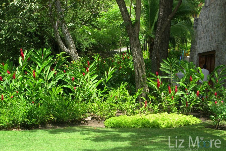Four-Seasons-Costa-Rica-Papagayo-grounds-and-garden.jpg