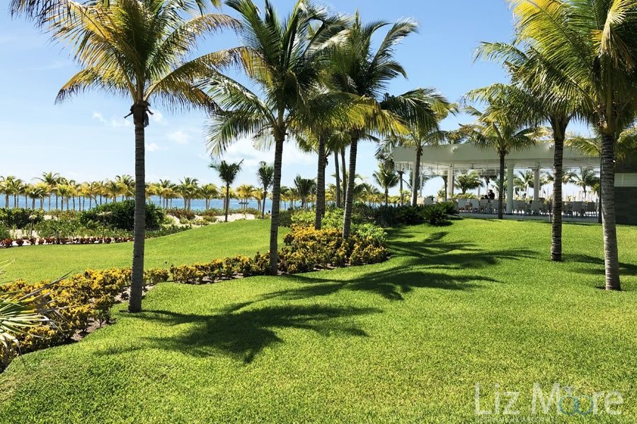 Hotel-Riu-Dunamar-Playa-Mujeres-landscaped-grounds.jpg