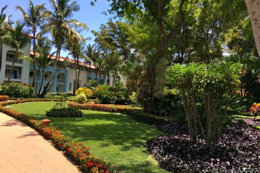 Iberostar hacienda Dominicus in La Romana