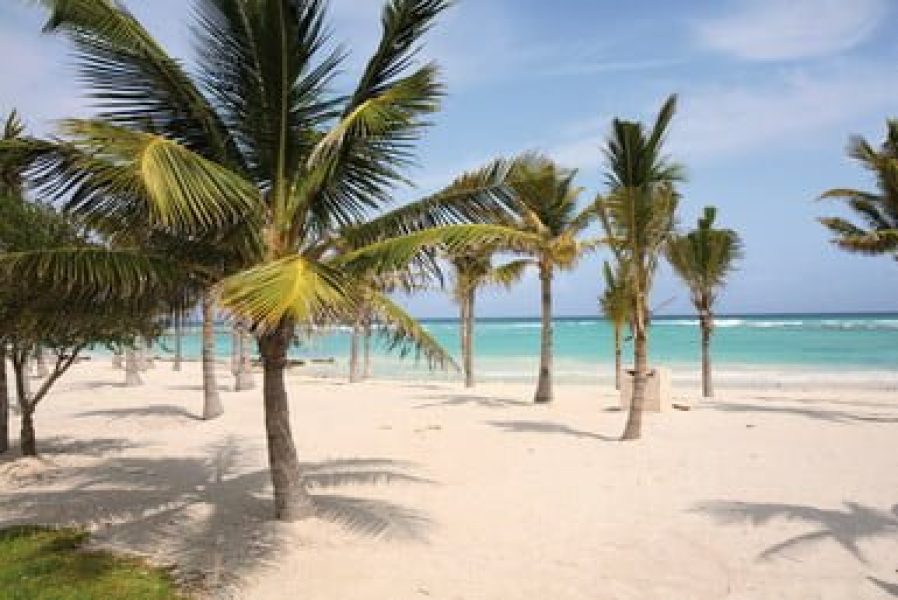 MAYACB_BEACH_09_gal-unsmushed